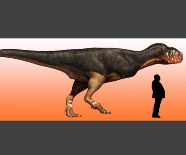 Abelisaur Fossil Gives Researchers a Peak Into How Big Dinosaur Could Get