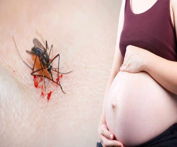 Study: 1 in 7 Children of Zika-Infected Moms Have Problems