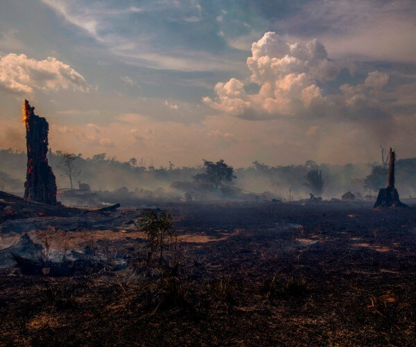 Amazon Fires and a Burning Need for Human Connection