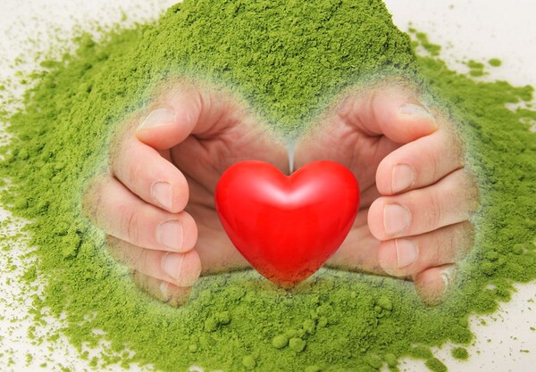 Green Tea Extract Benefits for Heart Health: Cholesterol Control Seen In Studies