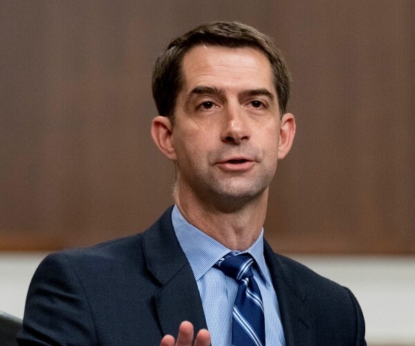 tom cotton speaks at hearing