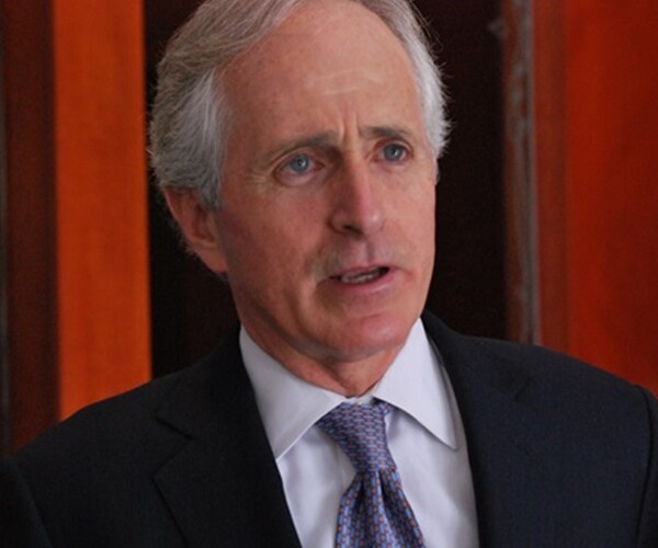 GOP's Corker, Johnson Threaten to Bottle Tax Bill Up