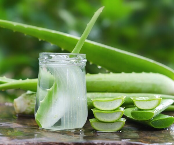 glass of aloe vera juice, and aloe vera plants on table