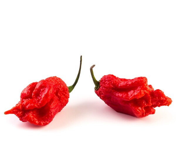 Carolina Reaper: Thunderclap Headaches Produced by Chili Pepper