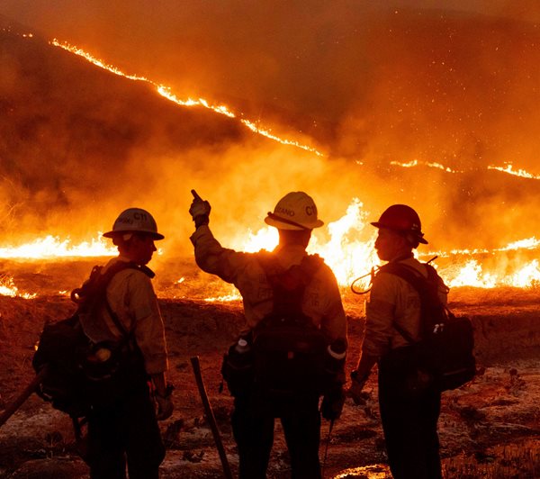 Los Angeles Wildfires by the Numbers