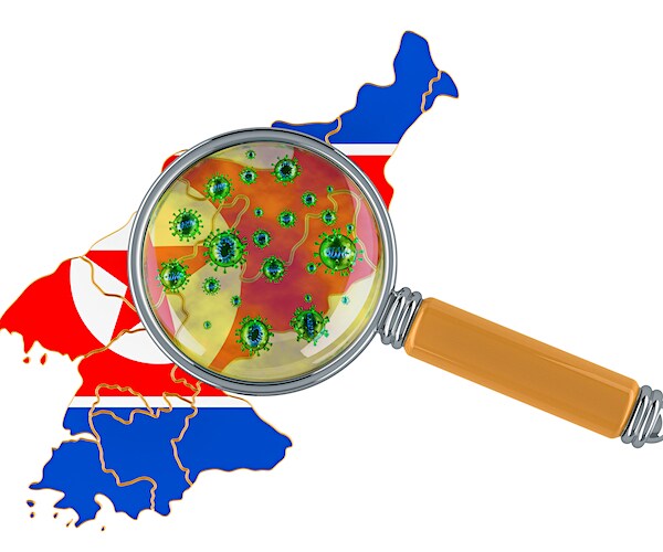 a map of north korea with a magnifying glasses showing the coronavirus