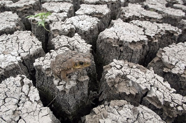 El Niño This Year May Be Most Powerful Ever, for Good or Bad