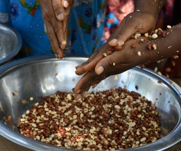 person sifting through big bowl of peanuts