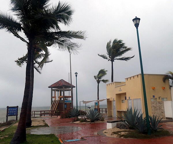 Palm trees blow in the wind before Hurricane Agatha makes landfall in Huatulco, Oaxaca State, Mexico on Monday