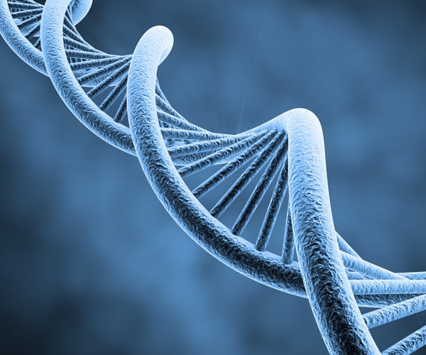 New DNA 'Twist': There's Double Helix and Now 'I-motif'