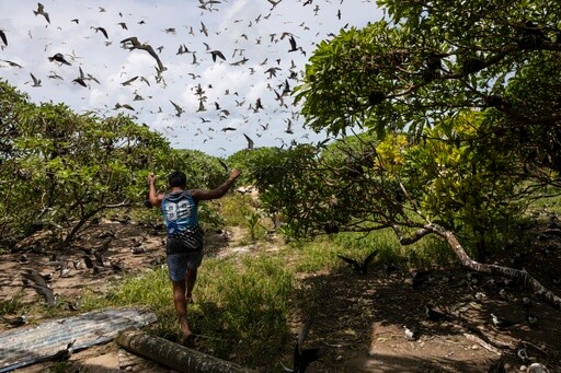 Slight Progress in Global Biodiversity Protection Efforts but Some Species Decline, New Reports Find