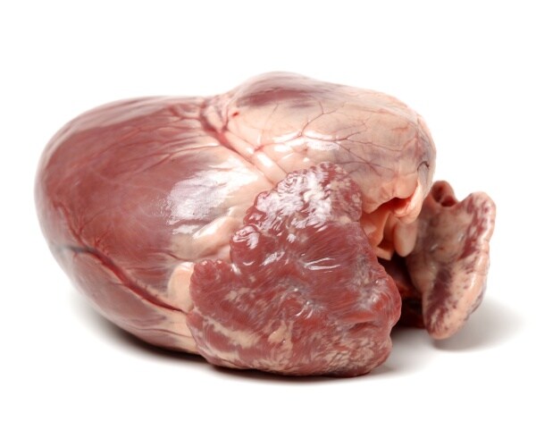 pig heart