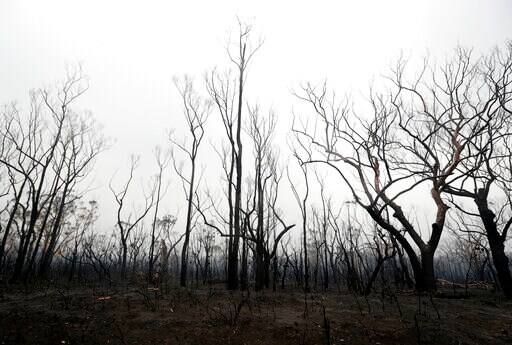 2 More Missing in Australian Wildfires as Rain Brings Relief