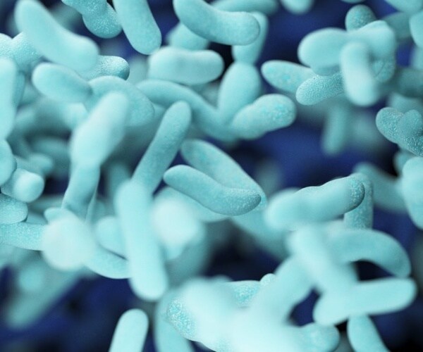 microscopic view of gut bacteria