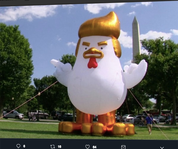 White House Chicken: Giant Trump-Like Bird Ruffles Feathers