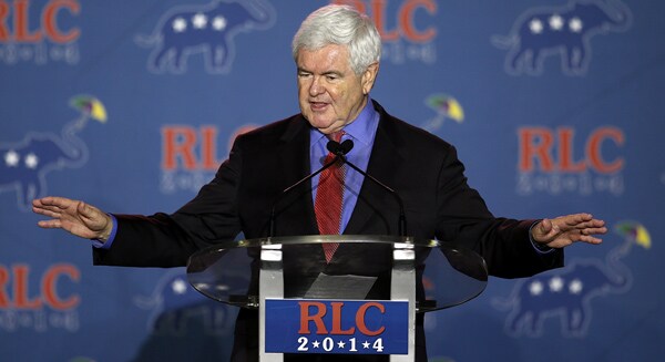 Newt Gingrich: Make Midterms Referendum on Immigration