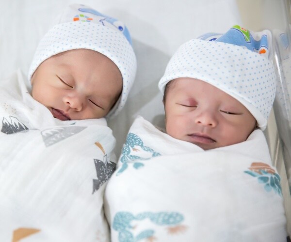 newborn twins together in bassinet in hospital