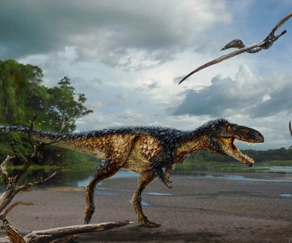 Timurlengia Euotica: Knee-High Wee-Rex Grew Into Giant T-Rex?