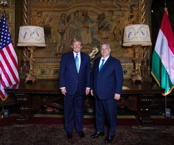 trump and orban standing between their two countries flags in an ornate wood walled room