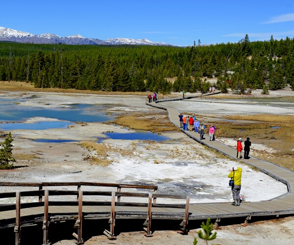 Yellowstone Visitors' Thermal Water, Off-Path Forays a Pain