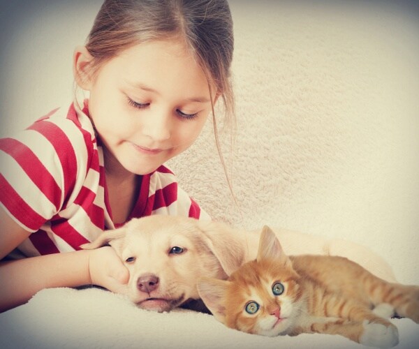 young girl at home petting her cat, dog