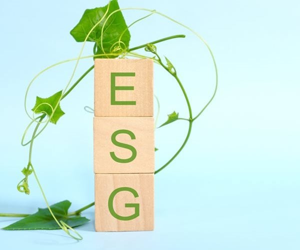 Sustainable Fund Inflows Halve as ESG Falls out of Favor