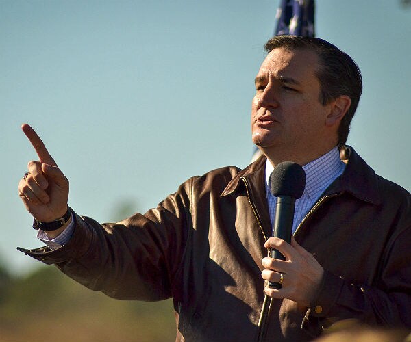 Cruz: I Will Be 'That Conservative Candidate' to Take on Establishment