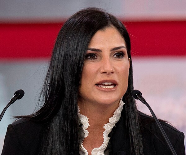 NRA's Dana Loesch Says Legacy Media 'Loves Mass Shootings'