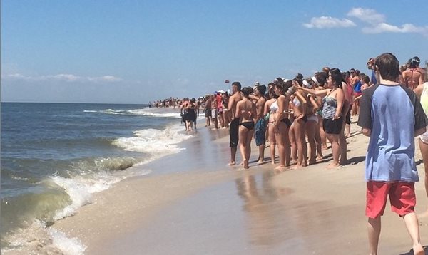 Sharks at Long Island Beach Chase Hundreds From Ocean