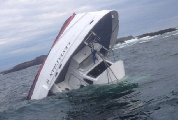 Tour Boat Sinks With 27 Whale Watchers; 5 Dead, 1 Missing