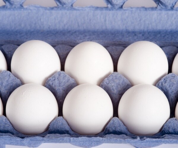 USDA Report Finds Egg Prices Could Rise 21 Percent This Year