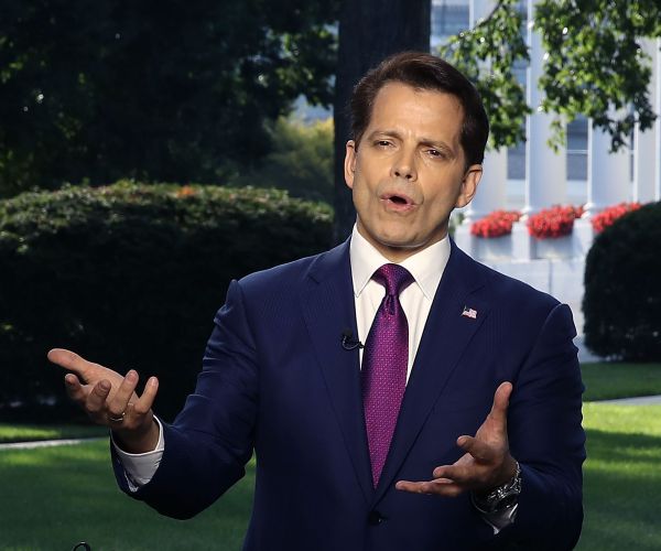 Anthony Scaramucci Out: 4 People Who Could Replace Him