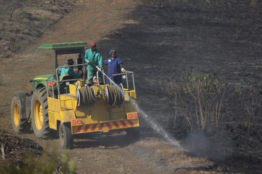 6 Firefighters Have Died Battling a Bushfire in South Africa after Storms Batter Other Areas