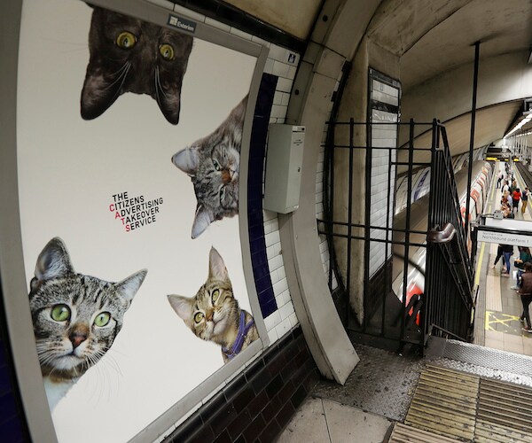 London Subway Cats: Tube Station Ads Replaced by Cute Feline Photos