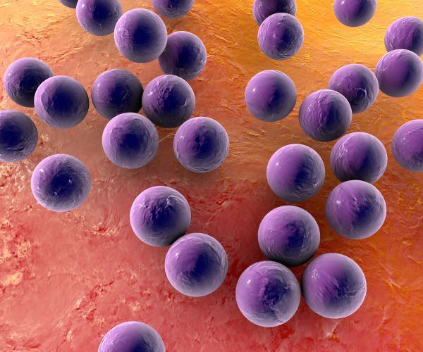 'Phantom Menace' Superbug, Resistant to Antibiotics, on Rise in US