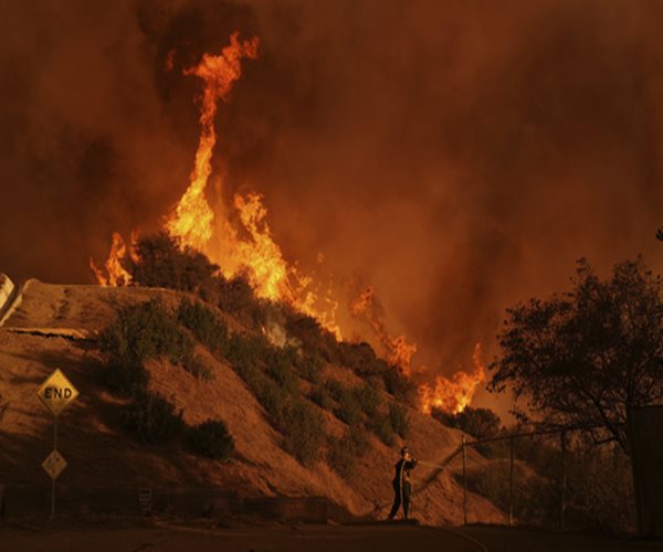 Fires Burn Los Angeles Schools and Destroy Outdoor Education Sanctuaries