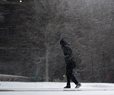 Power Cut Across Texas as Snow, Ice Blanket Southern Plains