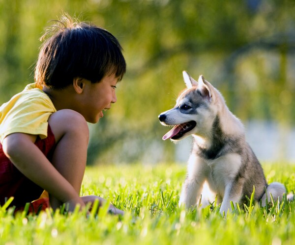 Dogs Lower Kids' Asthma Risk If Raised Together, Finds Study