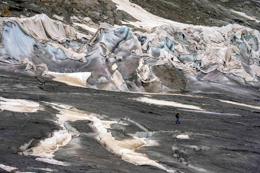 As Glaciers Melt, a New Study Seeks Protection of Ecosystems That Emerge in Their Place