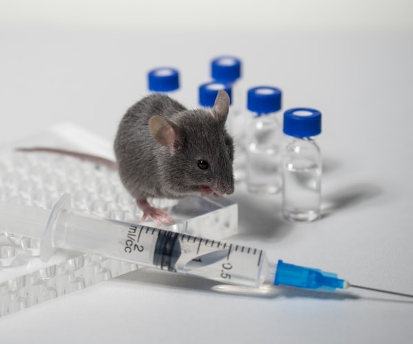 mouse, syringe, vials