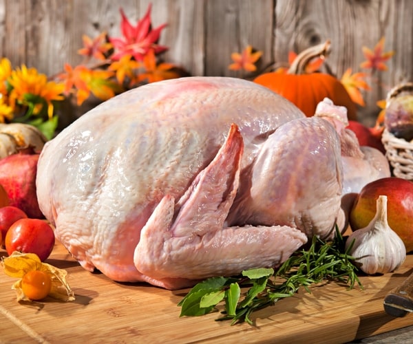 a raw turkey surrounded by garlic, herbs, apples, tomatoes, and pumpkins