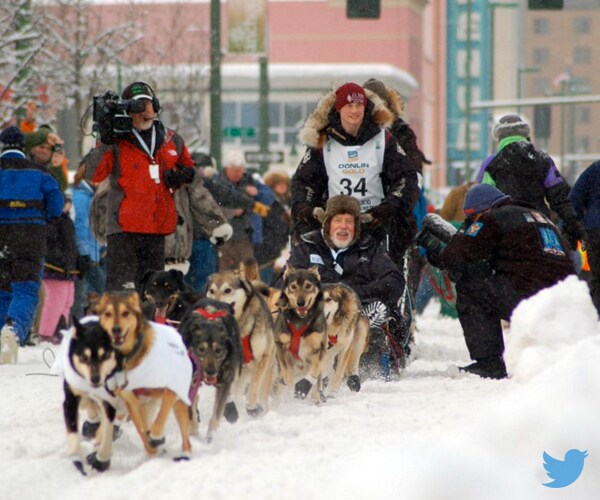 Iditarod Snow Imported for Race's Saturday Grand Opening