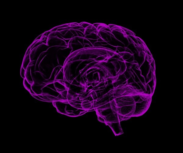 outline of brain in purple