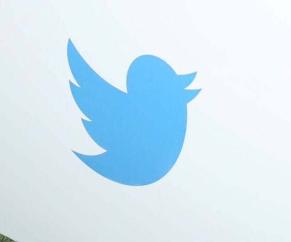 twitter logo of bird