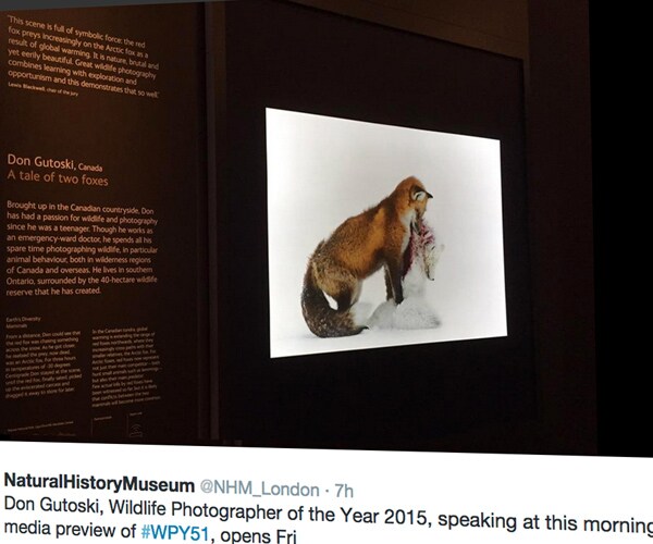 2015 Wildlife Photographer of the Year Award Goes to Canadian Don Gutoski