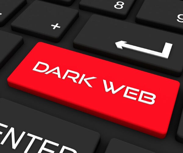 the dark web 