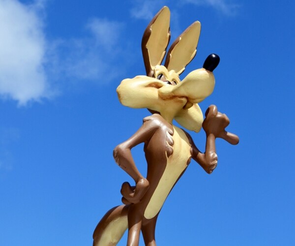 Investor Warning: Protect Yourself From the 'Wile E. Coyote' Market