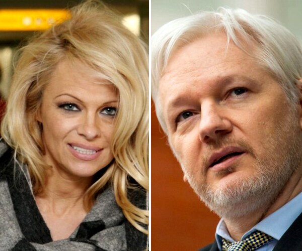 Pamela Anderson, Julian Assange 'Romance' Spices Up Wikileaks Probe