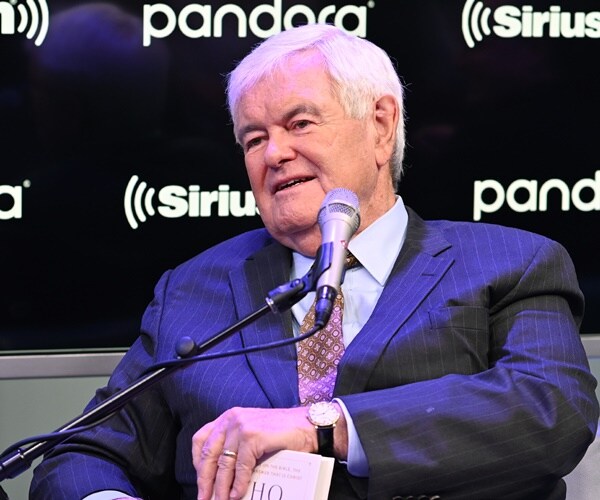 newt gingrich speaks in an interview