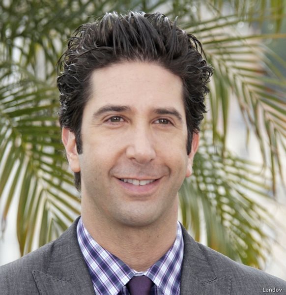 David Schwimmer: Cops Catch Robber Thanks to 'Friends' Star's Video